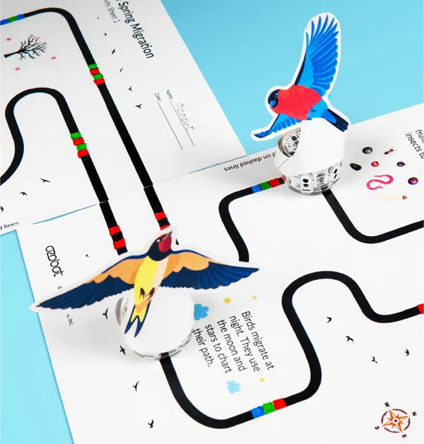 Evo following a printed black line across a Spring Migration activity sheet, with folded paper birds standing along the route.