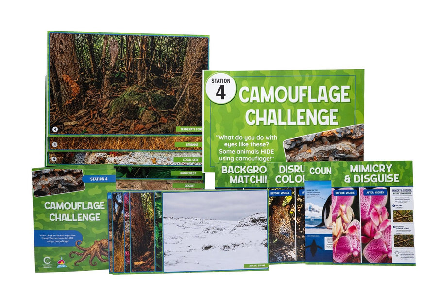 Camouflage Challenge station kit, laid out