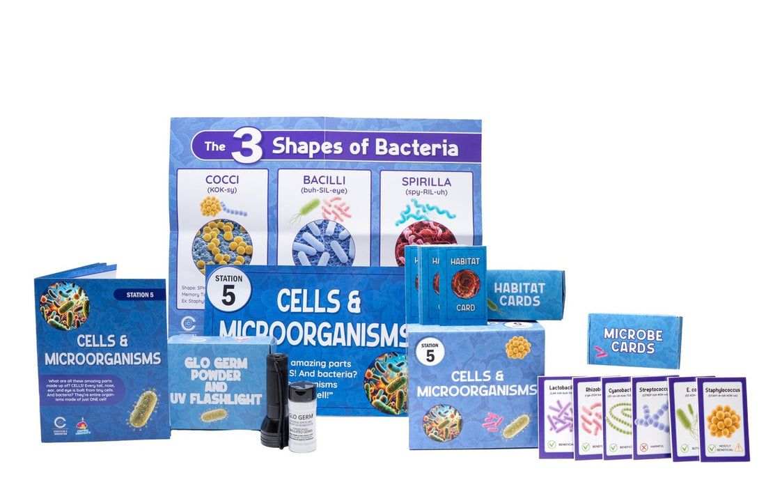Station 5 Cells and Microorganisms kit: Three Shapes of Bacteria poster, station sign, guide, Glo Germ powder with UV flashlight, habitat cards and microbe cards