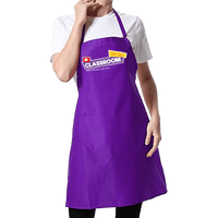 Classroom TO GO Instructor Apron image 0