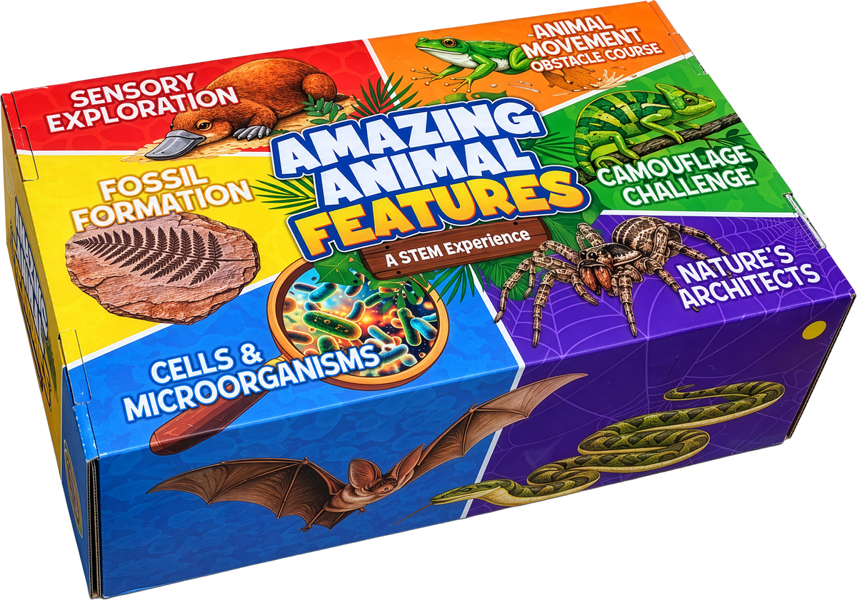 The Amazing Animal Features kit box, its six station panels wrapping the lid